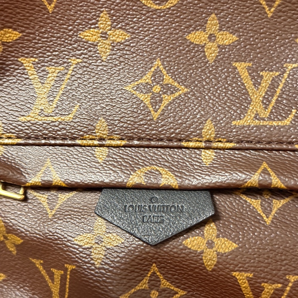 Louis Vuitton Backpack Palm Springs MM